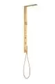 AXOR-HG-AXOR-ShowerComposition-Duschpaneel-mit-Thermostat-Kopfbrause-110-220-1jet-und-Schulterbrause-Brushed-Gold-Optic-12595250 gallery number 1